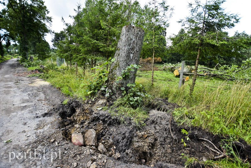 Burza szalała nad regionem zdjęcie nr 158020