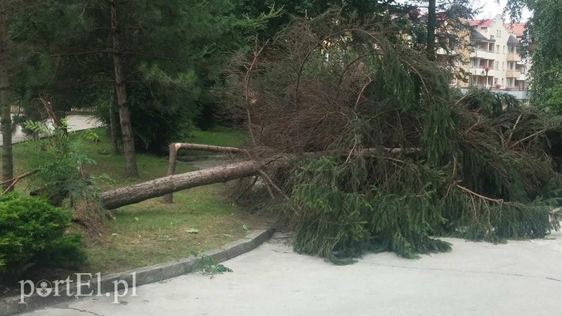 Burza szalała nad regionem zdjęcie nr 157933