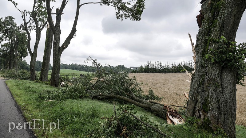 Burza szalała nad regionem zdjęcie nr 157938