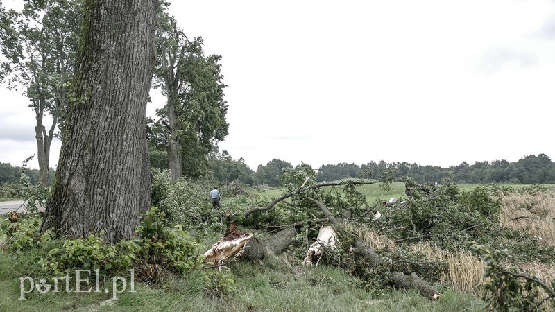 Burza szalała nad regionem zdjęcie nr 157939