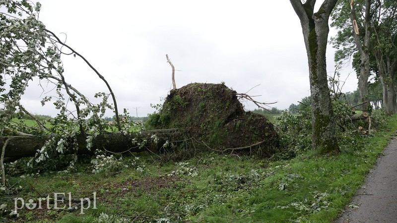 Burza szalała nad regionem zdjęcie nr 157941