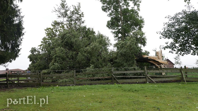 Burza szalała nad regionem zdjęcie nr 157943