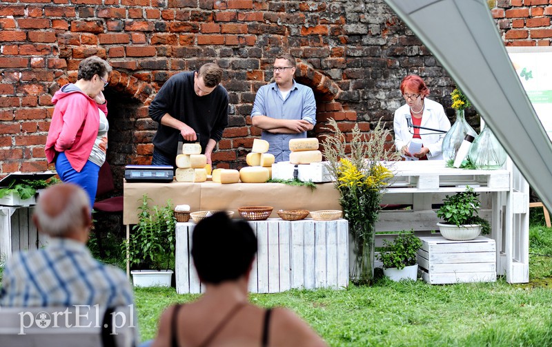 Biblioteka serem pachnąca zdjęcie nr 158325