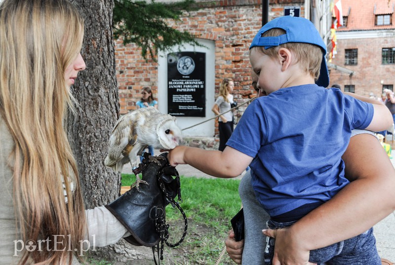 Jarmark, który odbywa się po sąsiedzku zdjęcie nr 158466