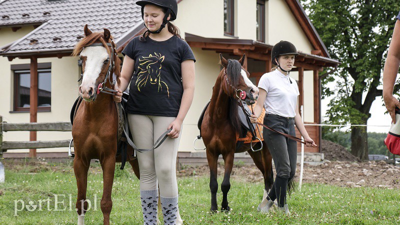  Trzecie zawody z cyklu Pony Cup już za nami zdjęcie nr 158524