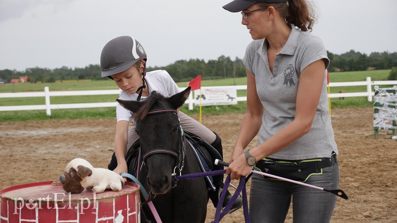  Trzecie zawody z cyklu Pony Cup już za nami zdjęcie nr 158535