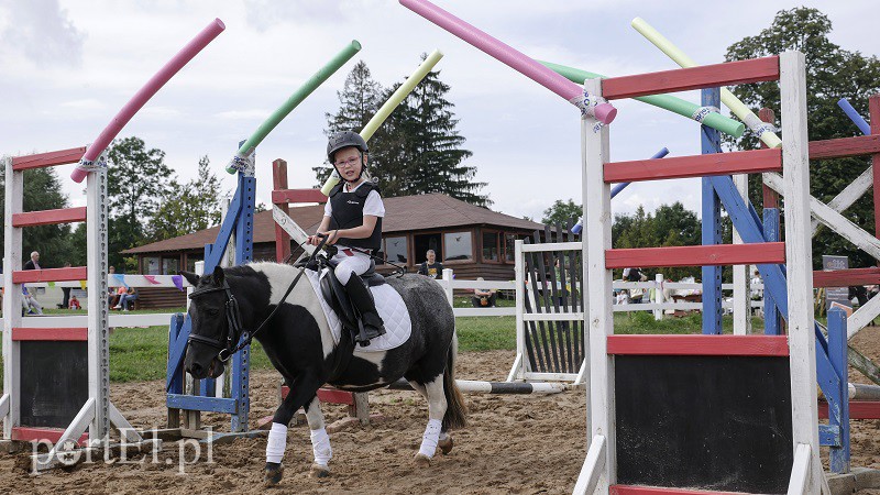  Trzecie zawody z cyklu Pony Cup już za nami zdjęcie nr 158538