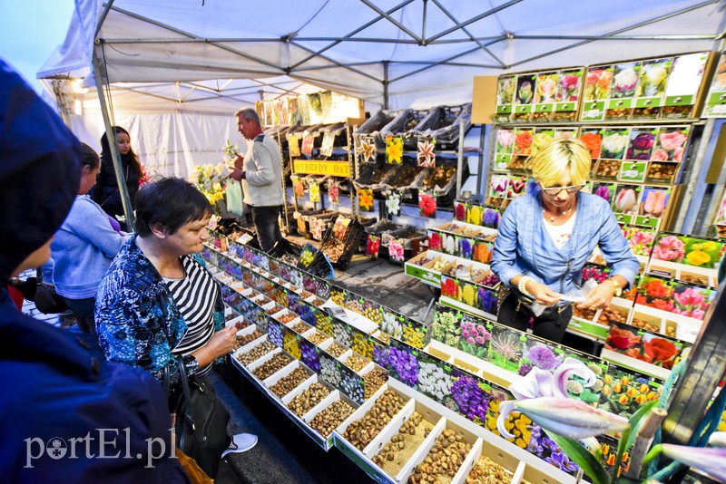 Za nami pierwszy dzień Święta Chleba zdjęcie nr 159174