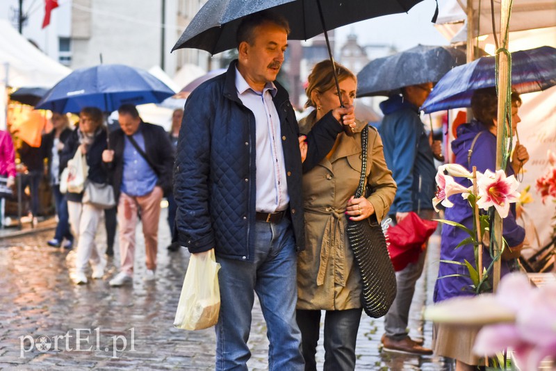 Za nami pierwszy dzień Święta Chleba zdjęcie nr 159181