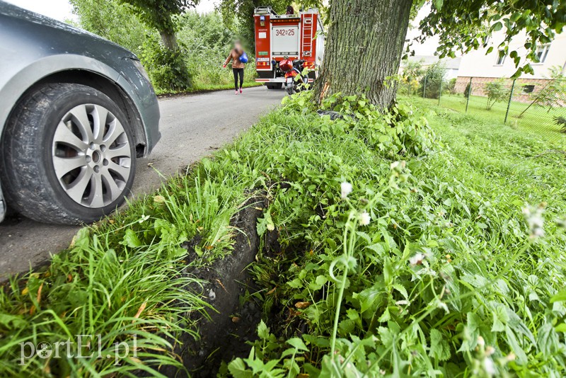Autokar z dziećmi uderzył w drzewo zdjęcie nr 159570
