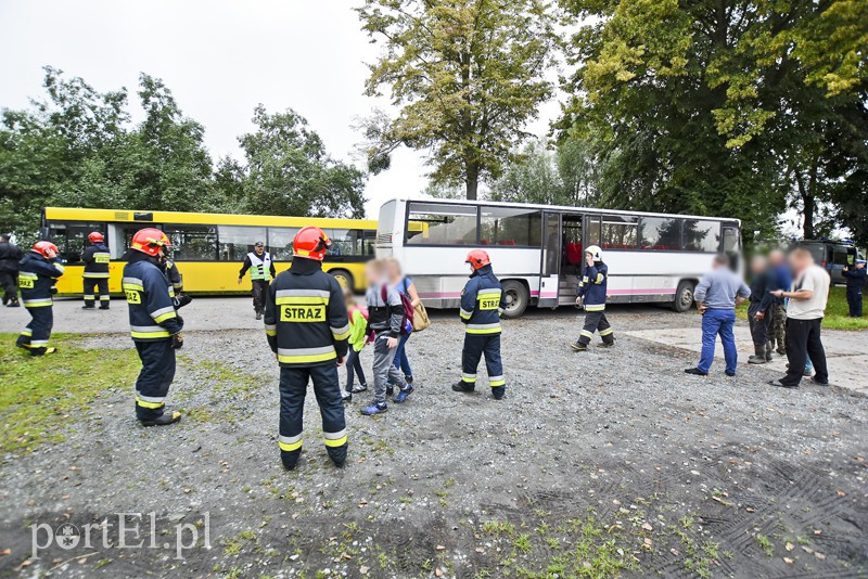 Autokar z dziećmi uderzył w drzewo zdjęcie nr 159573