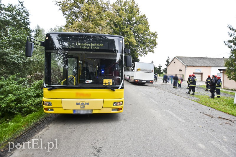 Autokar z dziećmi uderzył w drzewo zdjęcie nr 159572