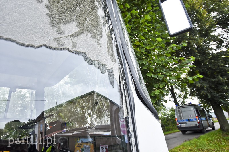 Autokar z dziećmi uderzył w drzewo zdjęcie nr 159577