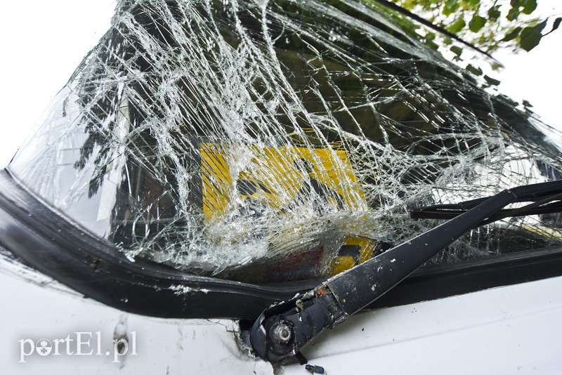 Autokar z dziećmi uderzył w drzewo zdjęcie nr 159575