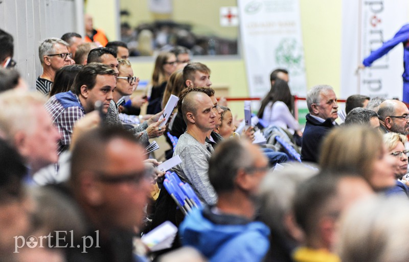 3:1 i gdańszczanie meldują się w finale Falkon Cup zdjęcie nr 159733