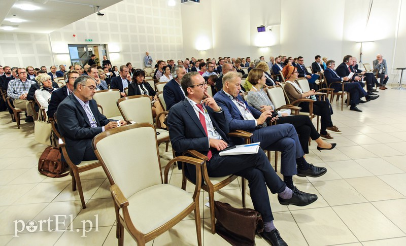 Jak Polak ze Skandynawem zdjęcie nr 160281