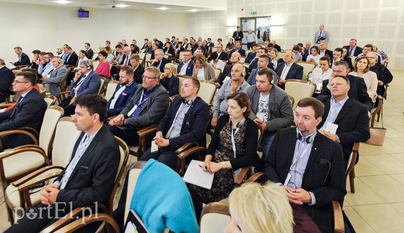 Jak Polak ze Skandynawem zdjęcie nr 160280