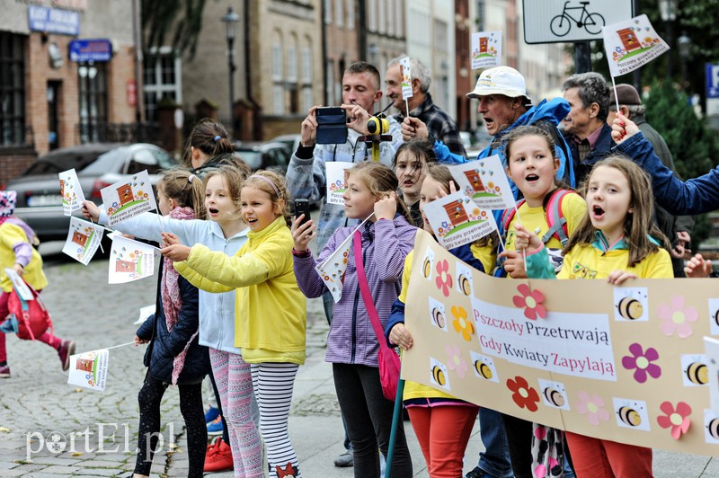 Jadą przez kraj żeby pomóc pszczołom zdjęcie nr 160330