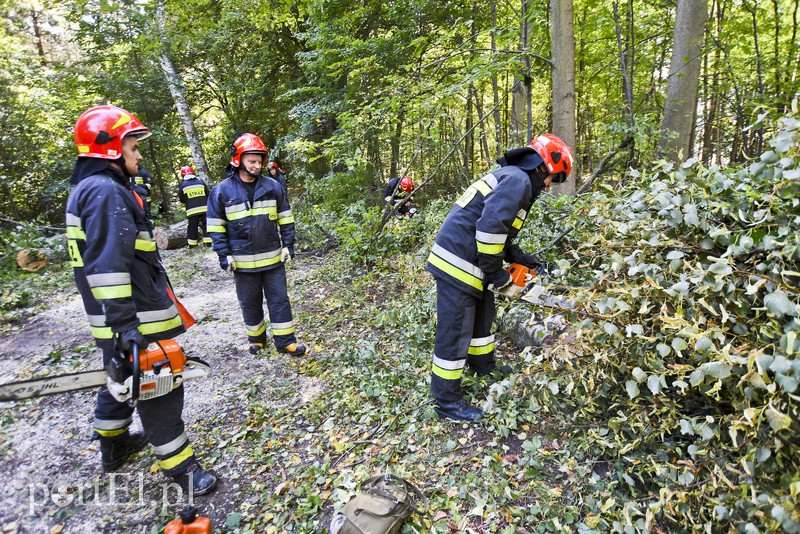 Strażacy kontra żywioł. Wielkie ćwiczenia we Fromborku zdjęcie nr 160502