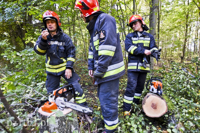 Strażacy kontra żywioł. Wielkie ćwiczenia we Fromborku zdjęcie nr 160512