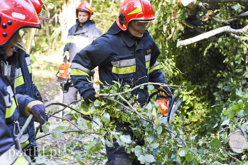 Strażacy kontra żywioł. Wielkie ćwiczenia we Fromborku zdjęcie nr 160507