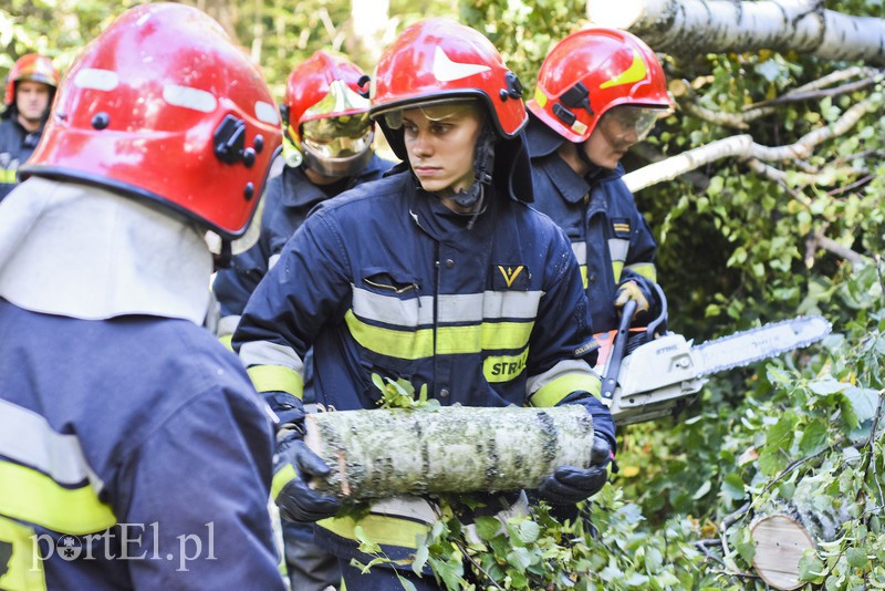 Strażacy kontra żywioł. Wielkie ćwiczenia we Fromborku zdjęcie nr 160506