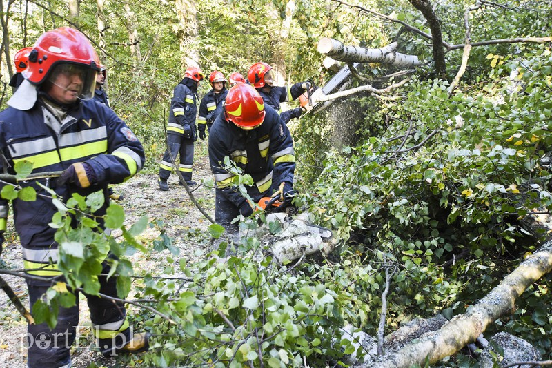 Strażacy kontra żywioł. Wielkie ćwiczenia we Fromborku zdjęcie nr 160505