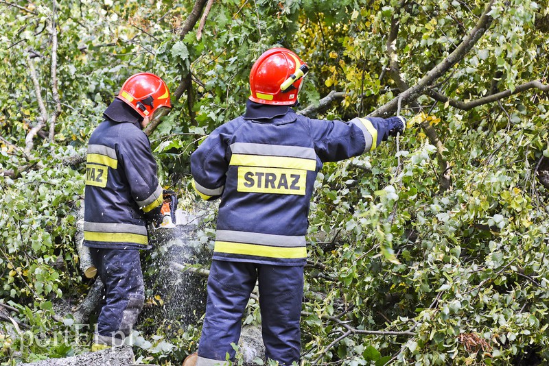 Strażacy kontra żywioł. Wielkie ćwiczenia we Fromborku zdjęcie nr 160511