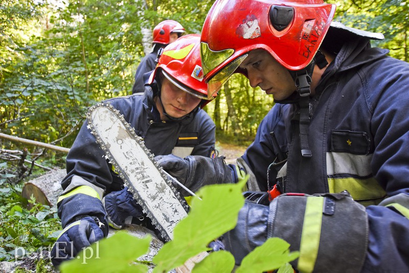Strażacy kontra żywioł. Wielkie ćwiczenia we Fromborku zdjęcie nr 160514