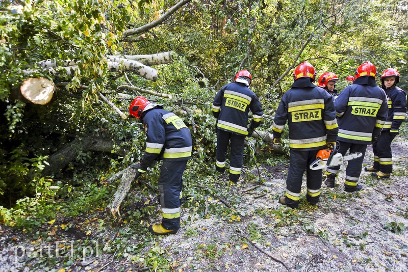 Strażacy kontra żywioł. Wielkie ćwiczenia we Fromborku zdjęcie nr 160501