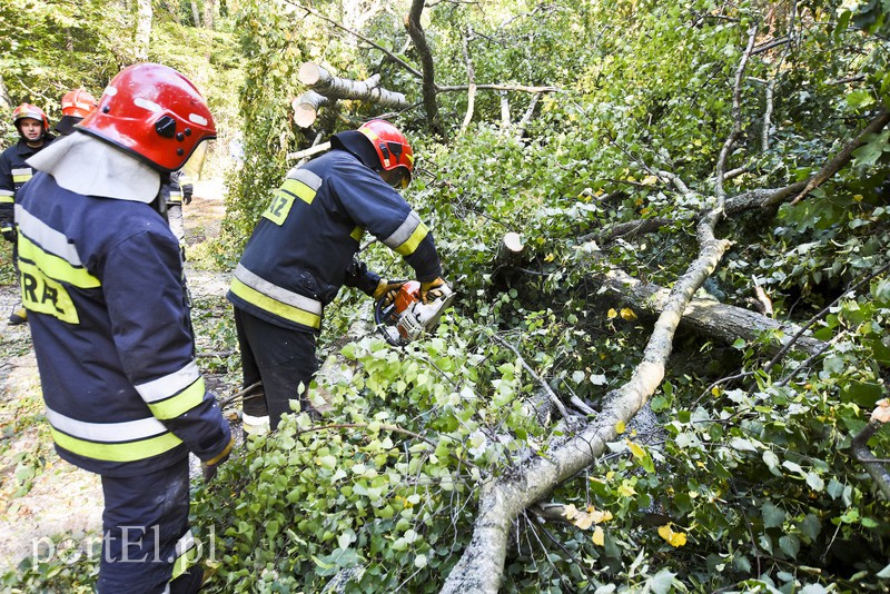 Strażacy kontra żywioł. Wielkie ćwiczenia we Fromborku zdjęcie nr 160503