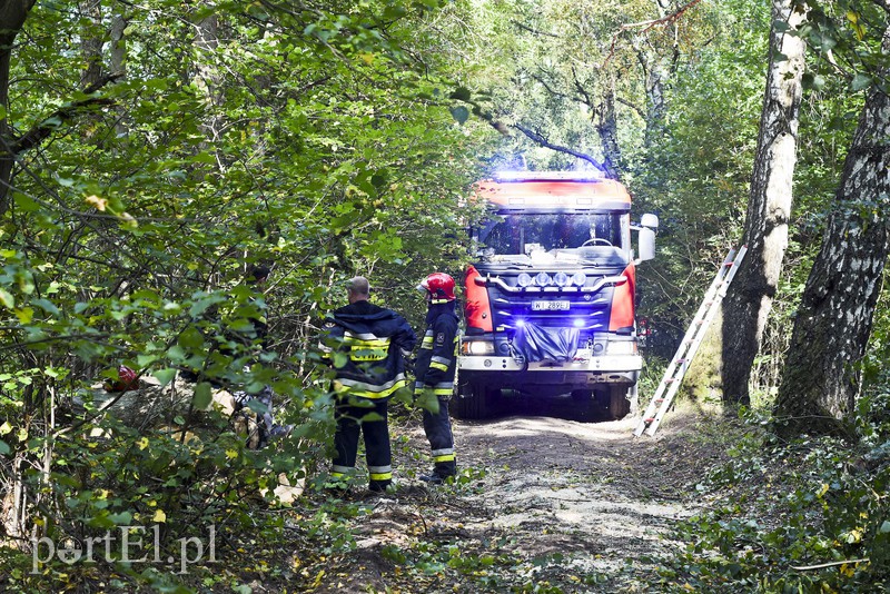 Strażacy kontra żywioł. Wielkie ćwiczenia we Fromborku zdjęcie nr 160499