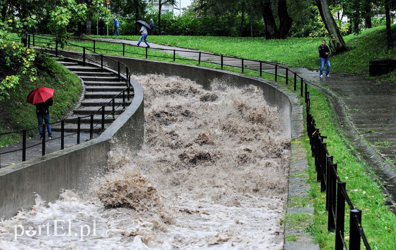 Elbląg i region walczy z ulewą. Najgorzej jest na Związku Jaszczurczego zdjęcie nr 160816