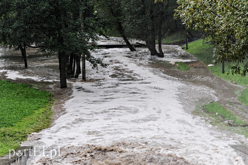 Elbląg i region walczy z ulewą. Najgorzej jest na Związku Jaszczurczego zdjęcie nr 160817