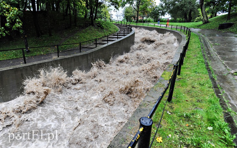 Elbląg i region walczy z ulewą. Najgorzej jest na Związku Jaszczurczego zdjęcie nr 160813