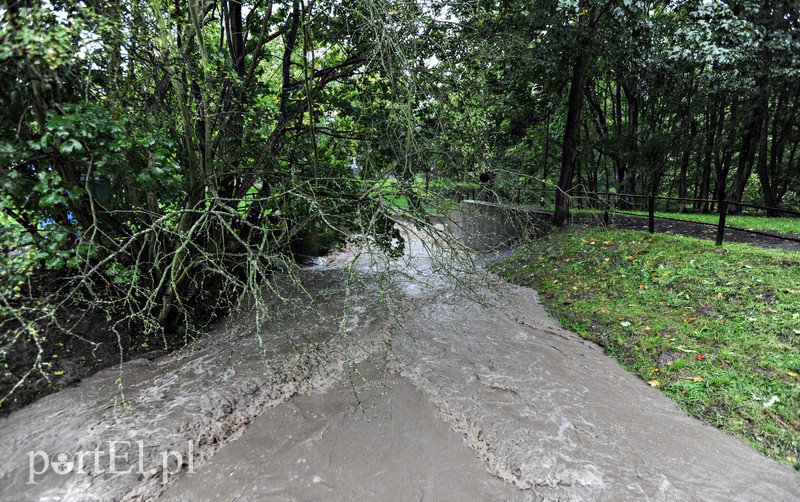 Elbląg i region walczy z ulewą. Najgorzej jest na Związku Jaszczurczego zdjęcie nr 160824