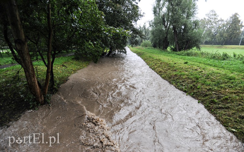 Elbląg i region walczy z ulewą. Najgorzej jest na Związku Jaszczurczego zdjęcie nr 160825