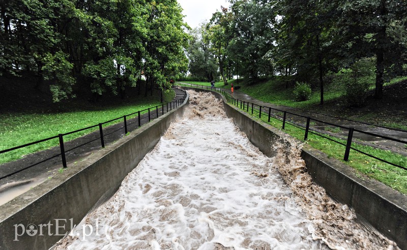 Elbląg i region walczy z ulewą. Najgorzej jest na Związku Jaszczurczego zdjęcie nr 160815