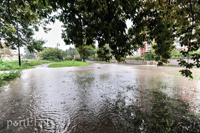 Elbląg i region walczy z ulewą. Najgorzej jest na Związku Jaszczurczego zdjęcie nr 160761