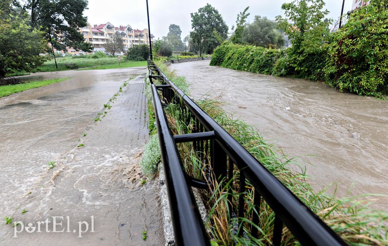 Elbląg i region walczy z ulewą. Najgorzej jest na Związku Jaszczurczego zdjęcie nr 160758