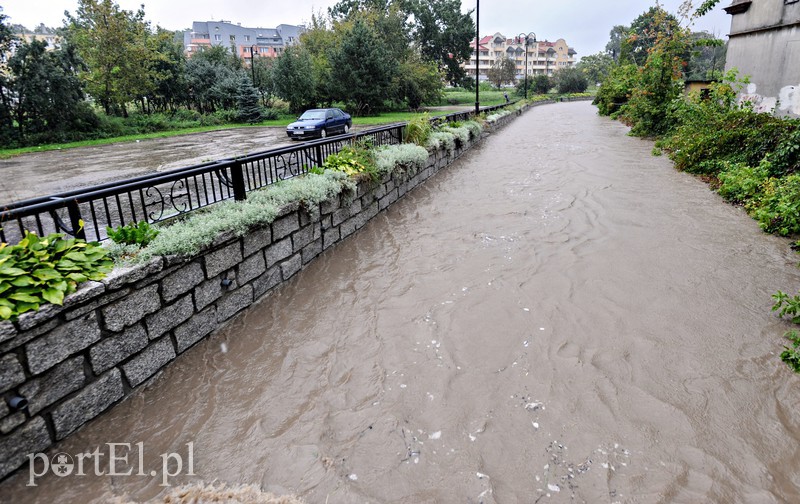 Elbląg i region walczy z ulewą. Najgorzej jest na Związku Jaszczurczego zdjęcie nr 160754