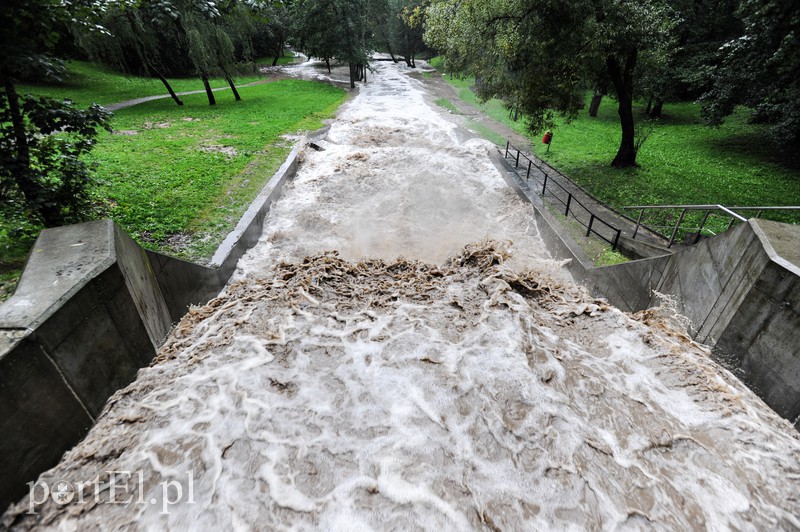 Elbląg i region walczy z ulewą. Najgorzej jest na Związku Jaszczurczego zdjęcie nr 160814