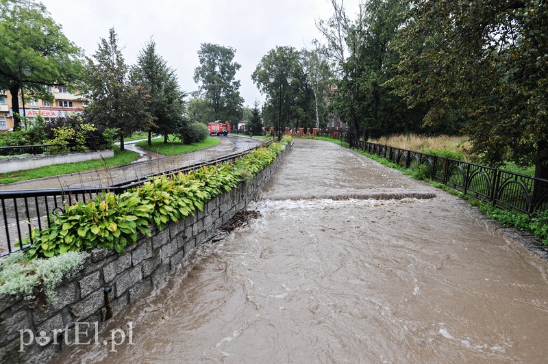 Elbląg i region walczy z ulewą. Najgorzej jest na Związku Jaszczurczego zdjęcie nr 160766