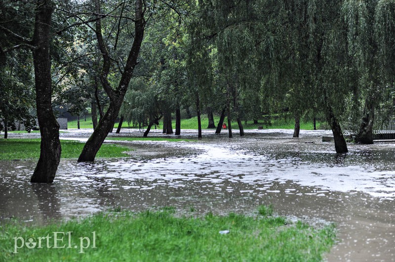 Elbląg i region walczy z ulewą. Najgorzej jest na Związku Jaszczurczego zdjęcie nr 160819