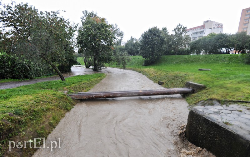 Elbląg i region walczy z ulewą. Najgorzej jest na Związku Jaszczurczego zdjęcie nr 160827