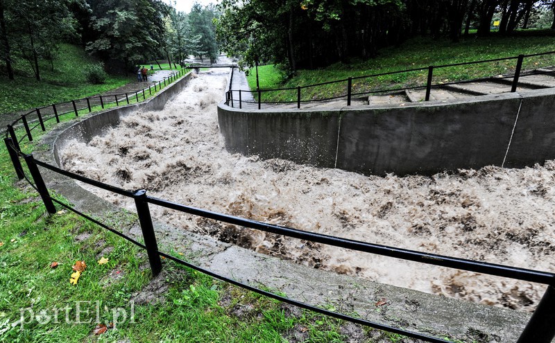 Elbląg i region walczy z ulewą. Najgorzej jest na Związku Jaszczurczego zdjęcie nr 160811