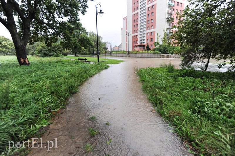 Elbląg i region walczy z ulewą. Najgorzej jest na Związku Jaszczurczego zdjęcie nr 160762