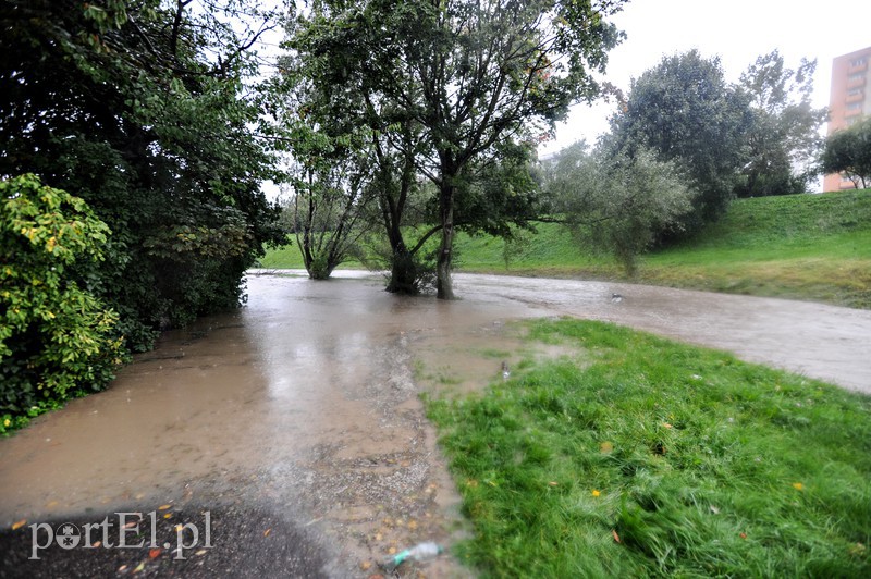 Elbląg i region walczy z ulewą. Najgorzej jest na Związku Jaszczurczego zdjęcie nr 160826