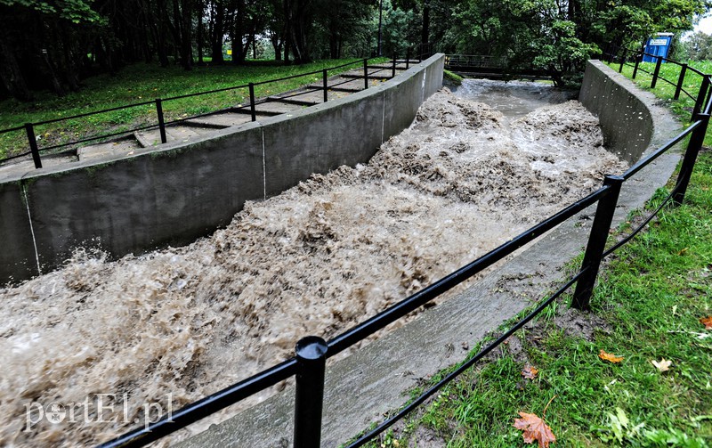 Elbląg i region walczy z ulewą. Najgorzej jest na Związku Jaszczurczego zdjęcie nr 160810