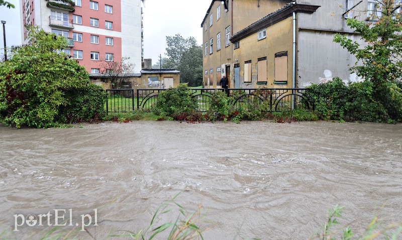 Elbląg i region walczy z ulewą. Najgorzej jest na Związku Jaszczurczego zdjęcie nr 160759